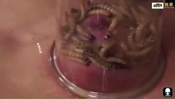 稀缺虫交身材骨感金发美少妇贫乳被加入大量白蛆拔罐虐乳视频