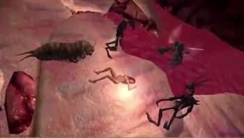 猎奇动漫虫交视频少妇被蜜蜂操穴蠕虫钻入肉穴