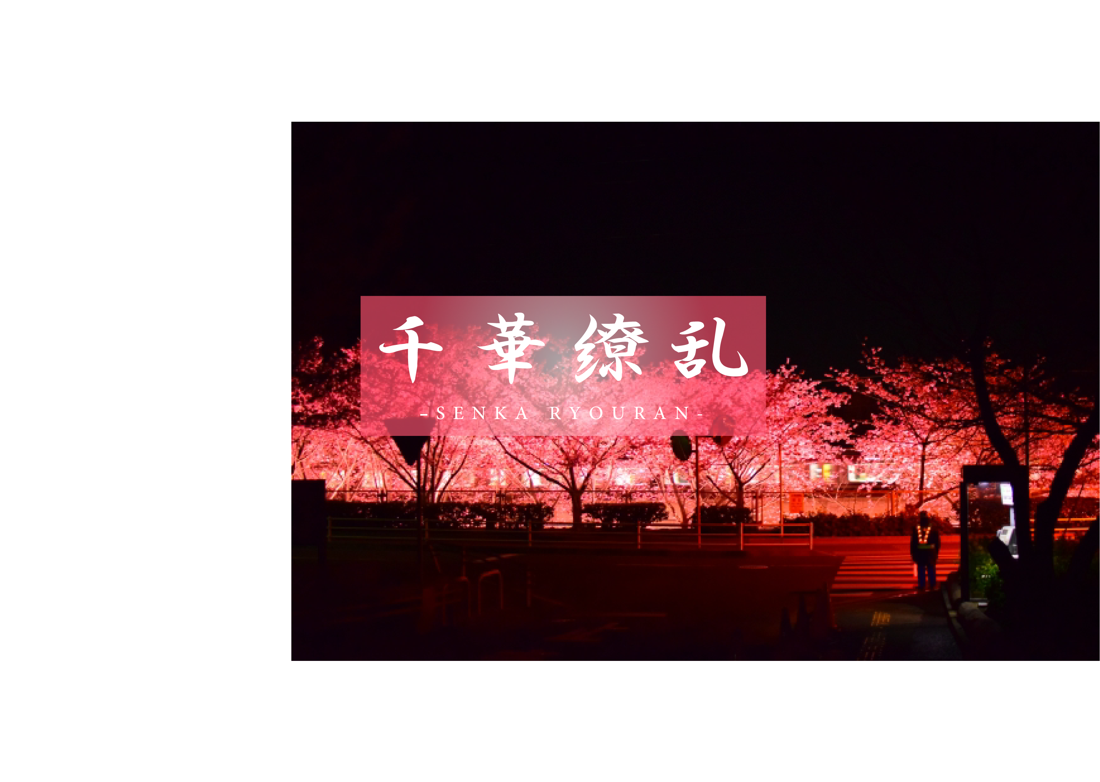 【传说中的美女再次. . ii】澄み渡る空气和最高的美女再次。请看令人震惊的3p。樱18岁-cd1